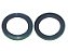 Retentor Pinhao Volvo N/NL 10/12 (948448) - Imagem 1