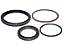 Kit Retentor Roda Traseira Para Sca 114/124 (1409889) - Imagem 1