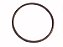 KIT Anel Filtro Rotativo 59X3MM Para Sca P-93 R-143 F-K-R-T-L-113 (332119) - Imagem 1