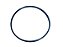 KIT Anel Oring Flange Bomba D'Agua Mercedes MOTORES OM314/352/352A/355 (0059971145) - Imagem 1