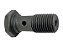 KIT Parafuso Banjo(Vazado)(14X1.5X32)2-Furos Mercedes OM447/LS1632 (4579900163) - Imagem 1