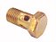 KIT Parafuso Banjo 10X1X18-4-Furos-Sextavado 14MM  OM352/366 (915036006208) - Imagem 1