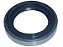 Retentor Pinhao Diferencial Para Ive DAILY 70C17 (500054243) - Imagem 1