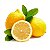 Óleo Essencial de Limão Siciliano 10ML - Imagem 2