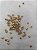 Miçangão Metalizado em Vidro - Missanga, Miçanga - 3.6mm - Embalagem com 50 gramas - Imagem 2