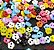 Micro Botão Flor  - 6 mm - *Pacote com 50 botões de cores variadas* - Imagem 4
