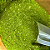 Erva Mate Terere - Imagem 1