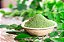 Moringa em Pó - Imagem 1