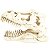 Enfeite aquário esqueleto cabeça tiranossauro rex grande 40229 - Imagem 7