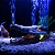 Enfeite aquário pequeno kit en02 luz led compressor ar boyu jad 110v - Imagem 2