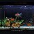 Painel decorativo liso fundo aquário dupla face 40x80 cm Soma 53217 - Imagem 4