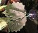 Enfeite aquário beteira folha de descanso para peixe Betta PB2 - Imagem 2