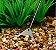 Ferramenta espátula raspador aquário doce plantado substrato areia - Imagem 2