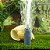 Compressor ar kit cortina bolhas pedra aquário Jebo 801 110V - Imagem 5