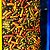 Ração Para Carpas Prodac Pond Sticks Color 4kg peixes lago - Imagem 5