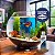 Ração Seachem Nutridiet Betta 30g - Imagem 2