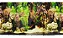 Enfeite aquário Aquam painel estampado dupla face 100x30cm PN03 - Imagem 6