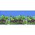 Enfeite aquário Aquam painel estampado dupla face 100x70cm PN04 - Imagem 3