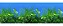 Enfeite aquário Aquam painel estampado dupla face 100x40cm PN05 - Imagem 4