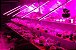 Lampada 15W  gro-lux rosa T8 fluorescente aquario plantado - 45cm - Imagem 7
