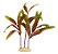 5 Plantas De Seda Para Decoração Aquário, Vaso, Lago - Escolha O Modelo Após A Compra - Imagem 10