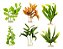 6 Plantas de seda decoração enfeite aquários vasos lagos - Imagem 1