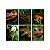 Kit Só Um Bolinho Dino Park Decoração Aniversário Junco - Imagem 2