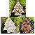 Forma Especial Árvore De Natal Para Rechear 10047 - Imagem 7