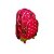 Mochila Escolar Melancia C/ Rodinhas Clio Girls Vermelho - Imagem 2