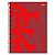 Caderno Flamengo CRF 1 Matéria 96 Folhas - Imagem 1