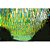 Tira Copa do Mundo Brasil 500G 1000 Tiras + Bandeira Brasil - Imagem 2
