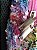 Mochila Clio Girls Juvenil Furta Cor Moda Blogueira - Imagem 5