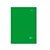Caderno Brochura Verde Soft Book 48 Folhas Pequeno - Imagem 1