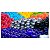 6 Bolas De Vinil Kiko 40cm Cores Decoração De Festa - Imagem 5