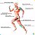 Fita Bandagem Elástica Adesiva Kinesio Tape Dor Muscular - Imagem 4