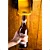 Amassador De Latinhas Com Abridor De Garrafas 475ml - Imagem 6