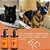 Shampoo e Condicionador Pet 2 em 1 Granado Brilho Intenso - Imagem 2