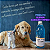 Higienizador e Limpador de Canil Vital 2Lts. - Concentrado Tira Cheiro de Cachorro | Perfume Suave, Não Tóxico Pet - Imagem 7