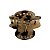 Pinupz Mini Piranha Brilho Tartaruga Claro UB036C 3,5x2,5cm - Imagem 4