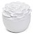 Greenswet Chá Branco - Vela Perfumada Flor G 160g - Imagem 3