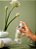 Greenswet Chá Verde - Home Spray 250ml - Imagem 2