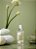 Greenswet Chá Verde - Home Spray 250ml - Imagem 3
