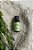 Lenvie Óleo Concentrado Alecrim Mediterrâneo 20ml - Imagem 3
