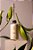 Lenvie Refil Difusor de Ambiente PatBo Lotus Garden 200ml - Imagem 2