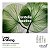 Keune Long & Strong - Kit Shampoo Condicionador Leave-in e Super Serum - Imagem 6