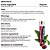 Hidratante Labial, Sticks Cereja, Kit com 3 unidades, ChapStick - Imagem 4