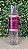 Body Splash, Gingham Gorgeous, 236mL, Bath & Body Works - Imagem 3