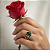 Anel Roseto Verde - Imagem 2
