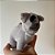 Mini Cachorro Charles - Bicho de Pano Tecido Antialérgico Zip Toys - Imagem 3