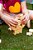 Caranguejo Equilibrista - Brinquedo Educativo de Madeira Pachu - Imagem 6